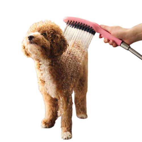 Banho e tosa para pets